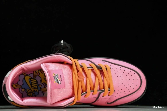 Powerpuff Girls  Nk x Dunk The Low FZ8319-600 SB 1110